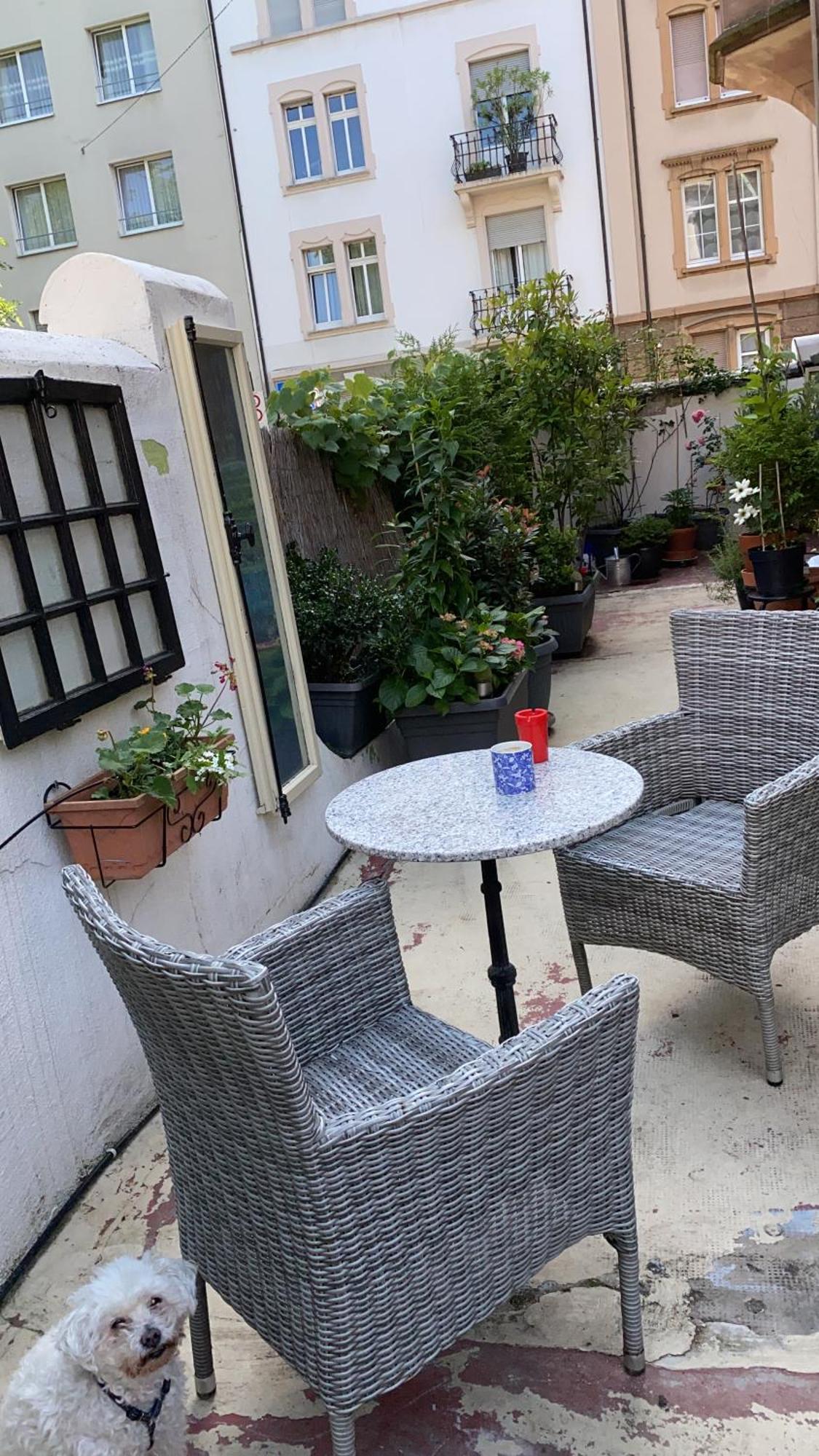 Georgian Guest Rooms Базел Екстериор снимка